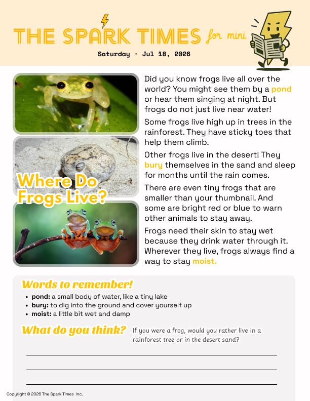 The Spark Times mini page preview